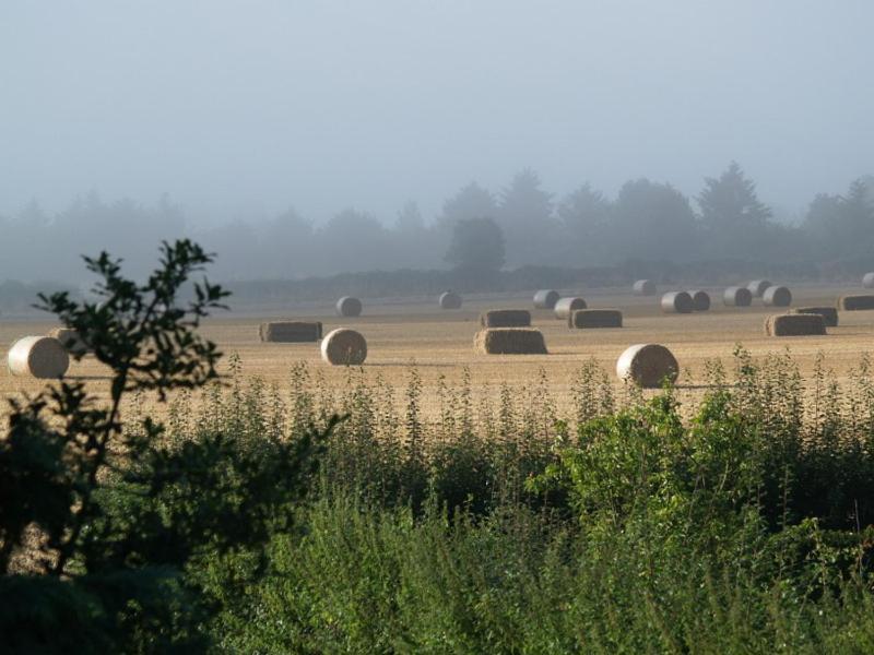 Villa High Park Farm York Exterior foto
